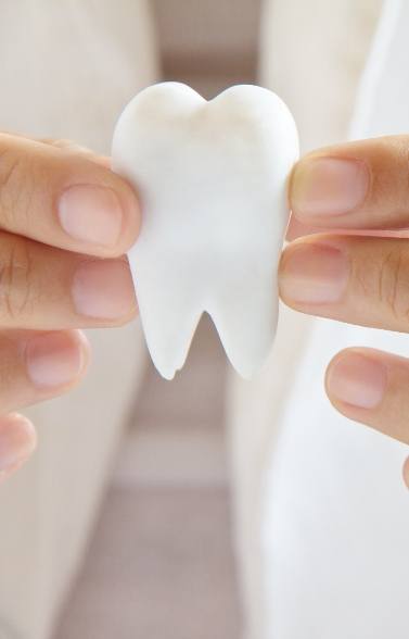 Person holding model tooth representing preventive dentistry